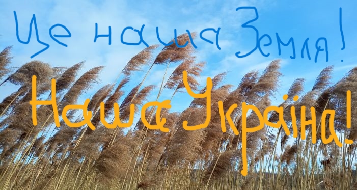 Рівненські музиканти закликали закрити небо над Україною