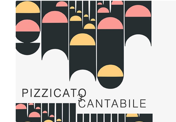 VIII Міжнародний фестиваль літньої пори «Pizzicato e Cantabile»