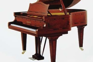 У Кіровоградському музичному училищі презентували рояль фірми «Бехштейн»