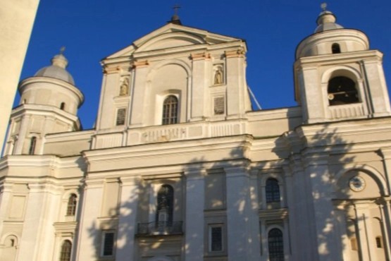 У Луцьку відбудеться органний концерт Марка Новаковича
